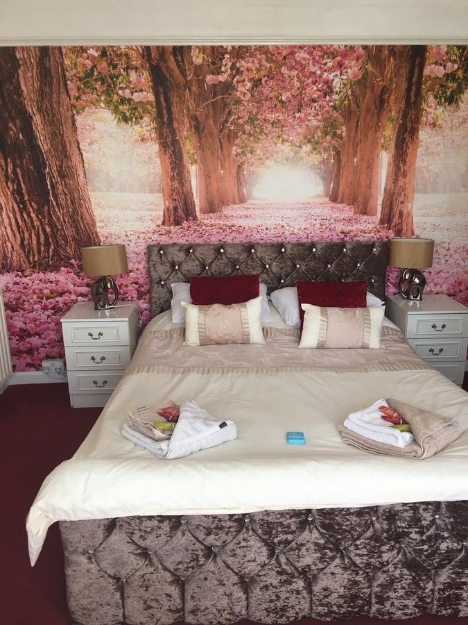Jasmine House Bed & Breakfast New Quay Dış mekan fotoğraf